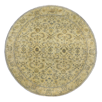 Ziegler 7' 4" X 7' 7" Hand Knotted Wool Rug 7' 4" X 7' 7" (223 X 231) / Beige / Wool