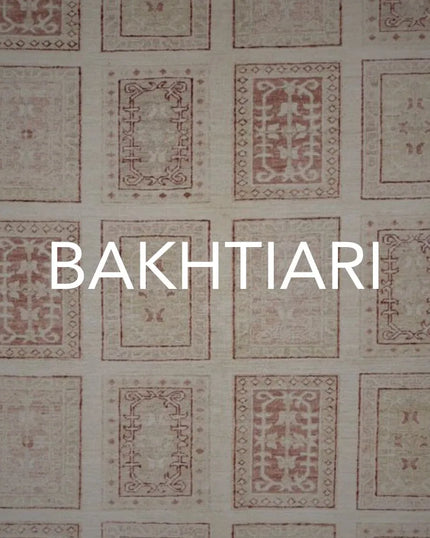 Collection image for: Bakhtiari