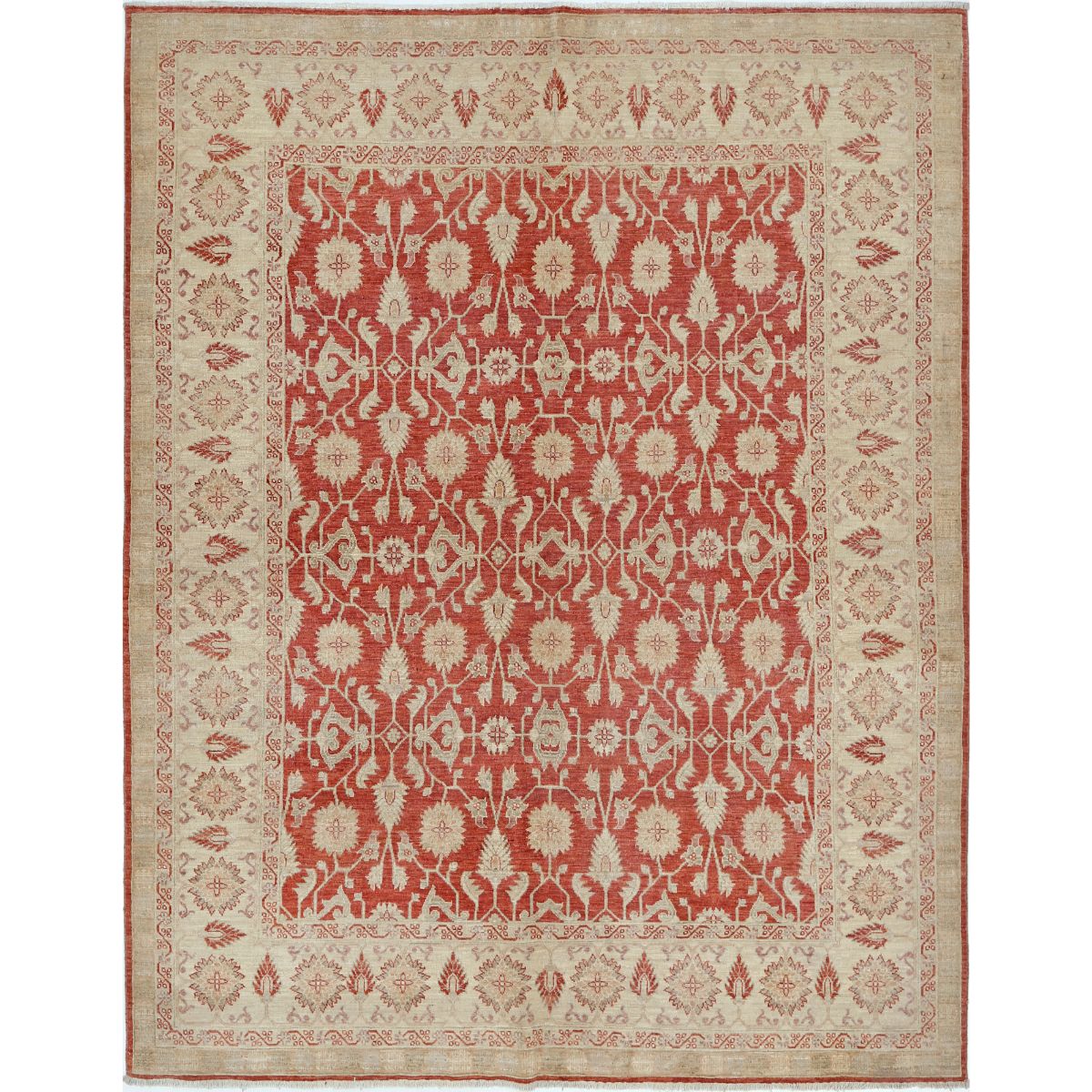 Ziegler Collection Hand Knotted Red 6'3" X 7'10" Rectangle Farhan Design Wool Rug