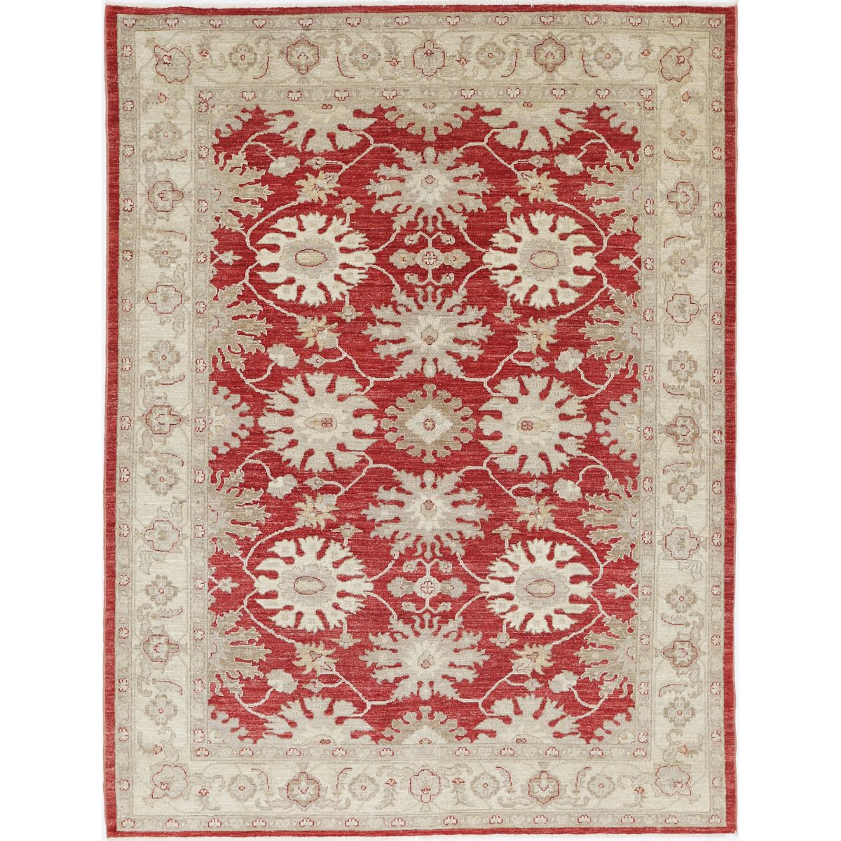 Ziegler Collection Hand Knotted Red 5'8" X 7'8" Rectangle Farhan Design Wool Rug