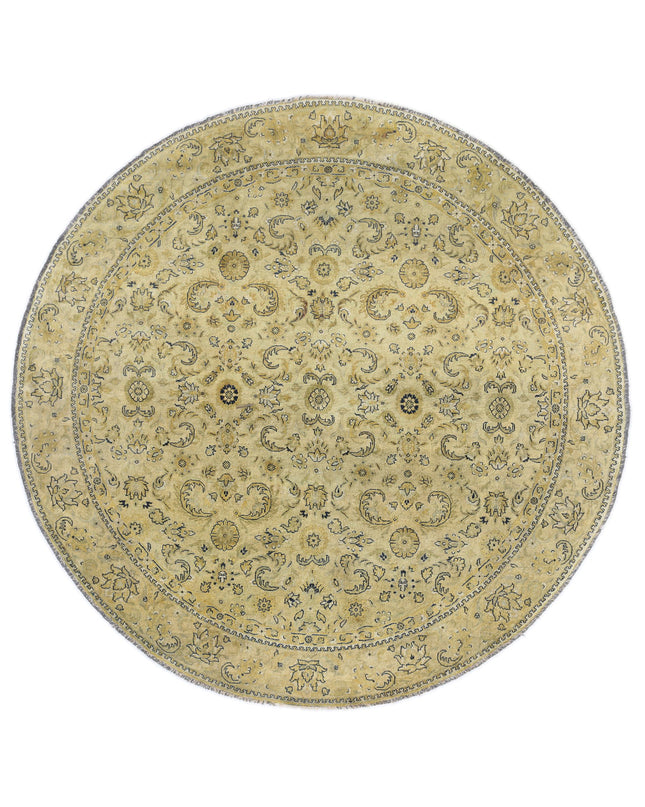 Ziegler 7' 4" X 7' 7" Hand Knotted Wool Rug 7' 4" X 7' 7" (223 X 231) / Beige / Wool